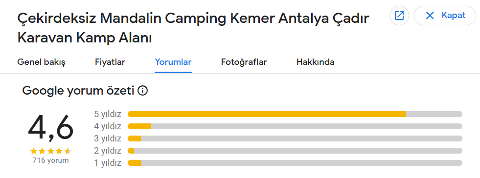 google-yorumlar-cekirdeksiz